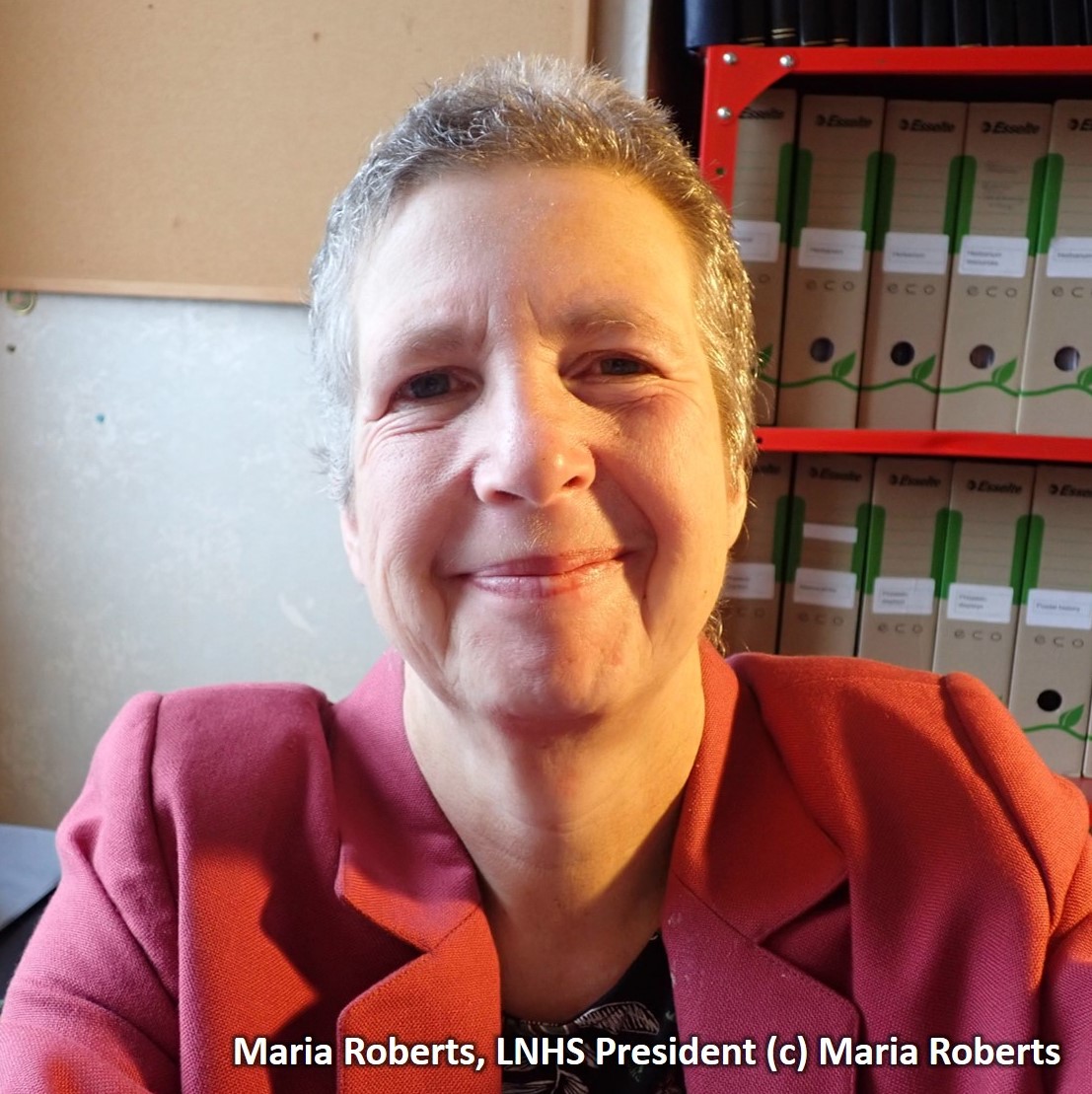 Maria Roberts